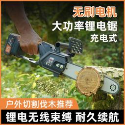 現貨 鋰電單手鋸伐木高枝鋸 戶外切割充電式延長桿小型手持無線電鏈鋸-可開發票 歷史價格詳細信息