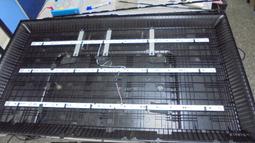 (一盒3條)CK冰點總裁男士內褲  舒適透氣 親膚內褲 四角內褲 平角內褲 冰絲內褲男 歷史價格詳細信息