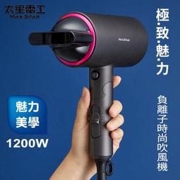 【太星電工】MAX STAR 負離子時尚吹風機(800W)HN800 歷史價格詳細信息