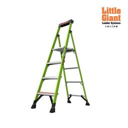 GIANT 捷安特 小花兒童水壺 300cc 附水壺架 歷史價格詳細信息