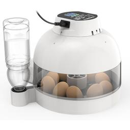 LifeBasis【日本代購】超聲波清洗機600ml強力清洗 振動器42KHz ljuc0024 - 白 歷史價格詳細信息