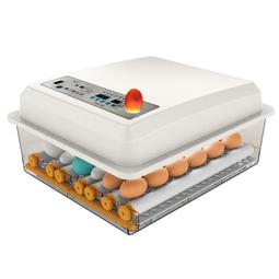 LifeBasis【日本代購】超聲波清洗機600ml強力清洗 振動器42KHz ljuc0024 - 白 歷史價格詳細信息