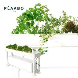 日本公司貨 新款 KOIZUMI 小泉成器 KHD-W905 怪獸 負離子 雙風扇 大風量 速乾 歷史價格詳細信息