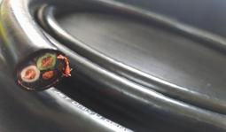 【UP Music】日本Oyaide TUNAMI II SP-B V2 香蕉插喇叭線 102SSC超導體 歷史價格詳細信息