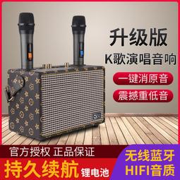 雙麥克風音箱帶無線話筒家用迷你k歌插卡音響禮品rgb彩燈音箱 歷史價格詳細信息