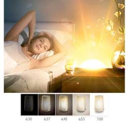 夜色收音機 播放機 Rolton樂廷老人收音機 廣播電 便攜可充電迷你插卡老人隨身聽 歷史價格詳細信息