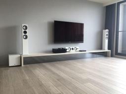 《名展影音》ZEN ELift-101 型 輕巧型投影機 電動遙控昇降機 歷史價格詳細信息