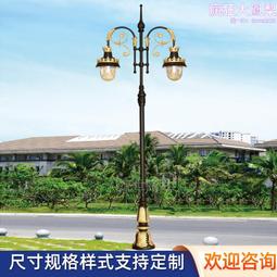 雙臂戶外led路燈6米市政道路路燈小區燈12米庭院燈 歷史價格詳細信息