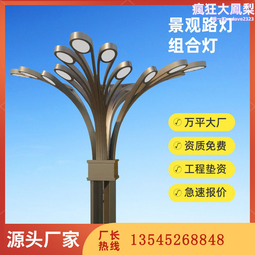 景觀燈 大型廣場戶外園林工程裝飾景觀路燈 星級酒店道路景觀燈 歷史價格詳細信息