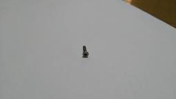 螺絲 平頭 內六角 M3 * 6mm 白鐵 歷史價格詳細信息