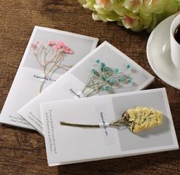 乾燥花卡片牆貼ins牆面裝飾掛毯背景牆房間佈置壁毯掛件出租屋改造 歷史價格詳細信息