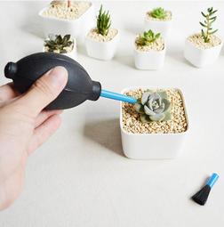 *樂源*免裁切 iPod Nano 7 保護貼 前+后貼套裝nano7 Nano7代 螢幕 保護膜Nano8 靜電式 歷史價格詳細信息