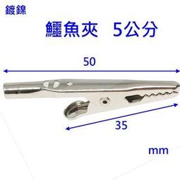 大號鱷魚座騎兒童雙人游泳圈成人加厚充氣鯊魚浮排小孩子沖浪坐圈 歷史價格詳細信息