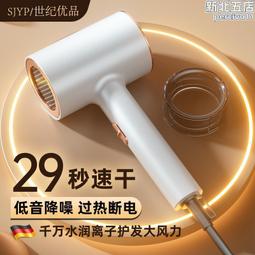 吹風機家用理髮店冷熱髮廊大小功率電吹風筒發學生宿舍寢室女 歷史價格詳細信息