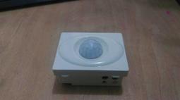 壁中聖境高志勇西藏壁畫影像 金磊等 2016-3  武漢大學出版社 歷史價格詳細信息