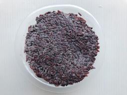 【逸嵐】－滿滿酥脆魷魚圈／300g／滿1800免運／香酥魷魚圈／魷魚切圈／魷魚／魷魚圈／冷凍魷魚圈／冷凍魷魚／炸魷魚圈 歷史價格詳細信息