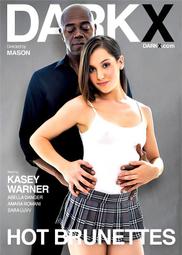 Brunette Bubble Cut 2008時光紀念1962版復刻珍藏版芭比娃娃 歷史價格詳細信息