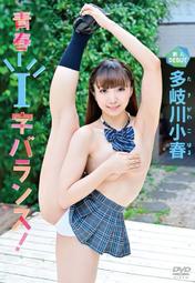 【多款I】小型犬外出胸背帶(S) 范特西亞 Fantasia (狗項圈 小型狗 外出 散步 遛狗 ；狗牽引繩 拉繩另購) 歷史價格詳細信息