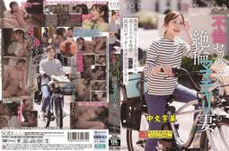 日本青森縣きんせい金星牛奶蘋果XL號｜赤秀特選28玉．最大規格 1箱(28入原裝精挑箱) 歷史價格詳細信息