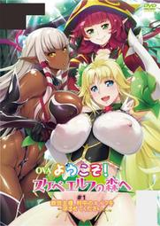 ACG天地 成人動畫 成人卡通 HA1041 ドラゴンナイト IV 歷史價格詳細信息