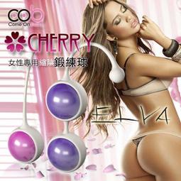 最新入荷!!日本雜誌截載刊登 內裡可封口綁結喲 藍色帆布包 收納包★衣著別館 歷史價格詳細信息