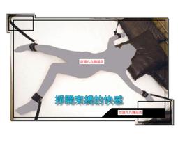 粉色絨毛手銬腳銬床上捆綁 另類情趣玩具 情趣用品 情趣精品 格雷的五十道陰影 SM 調情 激情 P25 天使衣裳 歷史價格詳細信息
