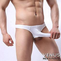 VENUS SM漆皮 緊身護袖運動健身袖套 歷史價格詳細信息