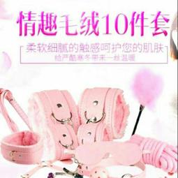 SM十件套_黑  成人 情趣  台灣現貨 歷史價格詳細信息