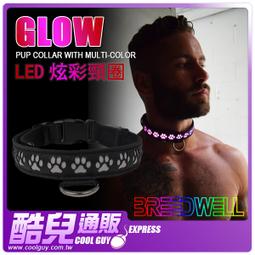愛犬的全方位食材事典：鮮食與藥膳的完美呈現 144種食材完整分析 用食療保養愛犬的身心健康 歷史價格詳細信息