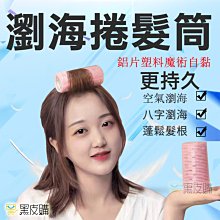 加長升級款  紗窗除塵刷 除塵 紗窗 紗門 門簾 窗戶 玻璃 清潔刷 長柄刷 紗窗刷 紗窗清潔 HNCAB1 歷史價格詳細信息