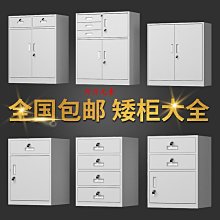 辦公文件櫃鐵皮櫃矮櫃儲物櫃檔案櫃資料櫃落地式移門櫃花槽隔斷櫃 歷史價格詳細信息
