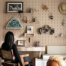 洞洞板收納架  現貨 蝦皮直送 歷史價格詳細信息