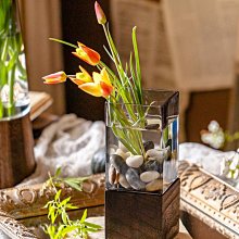 輕奢餐桌高級感鋼化玻璃餐桌椅組合不鏽鋼亮銀長方形餐檯 歷史價格詳細信息