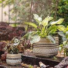 仿何朝宗古銅彩德化窯陶瓷觀音像 的話點和 歷史價格詳細信息