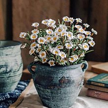熱賣古玩仿古實心黃銅鑰匙扣道家雨漸耳花錢八卦吊牌隨身平安鑰匙掛件 歷史價格詳細信息