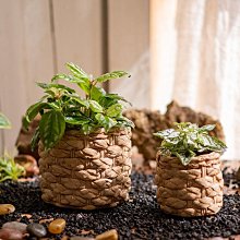 多用途草編提籃-大 ☆☆☆☆☆ 歷史價格詳細信息