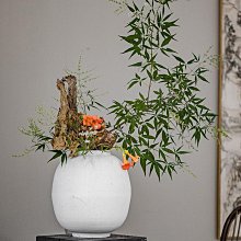 簡約現代白色陶瓷花瓶擺件新中式客廳高級感干花水培插花網紅裝飾/可可特價 歷史價格詳細信息