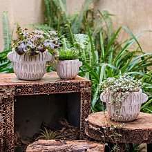 【熱賣】多功能陶瓷墨池四寸帶蓋詩文墨盒書法盛墨汁毛筆字墨碟舔筆擱 歷史價格詳細信息