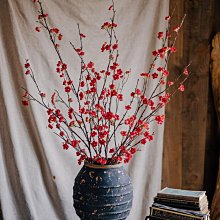 桃木梅花花開富貴紅繩編織手鏈腳鏈不可調節可定制其他款式特艾超夯 精品 歷史價格詳細信息