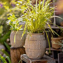 熱賣陶藝白胎 手工瓷板陶瓷裝飾扇形瓷板畫 景德鎮陶瓷釉上彩繪畫 歷史價格詳細信息