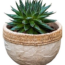 仿古庭院燈 小區廣場異形杆庭院燈戶外led太陽能壓鑄鋁庭院燈 歷史價格詳細信息