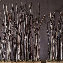 天然沉木造景 枯木拍照道具樹枝木頭裝飾ins靜物攝影陳列擺件乾花 歷史價格詳細信息