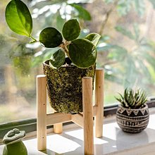 花架子室內陽台花架掛式花盆架鐵藝花架家用置物架欄桿懸掛多肉架  露天拍賣 歷史價格詳細信息