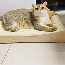 貓抓板(沙發板) / 貓主子遊戲區【毛寶貝御膳坊】 歷史價格詳細信息