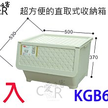 藤直取式整理箱-65L(1入) 歷史價格詳細信息