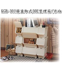 台灣製造30X20長毛絨超細纖維神奇抹布6入組(390065X6) 歷史價格詳細信息