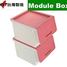 Esaka/8個入免運/雙開直取式整理箱小/置物箱/收納箱/直立式收納箱/掀蓋整理箱/無印良品/直購價 歷史價格詳細信息