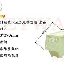藤直取式整理箱-30L(3入組) 歷史價格詳細信息