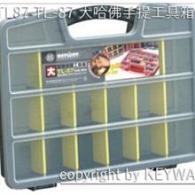 《大哈佛小荳荳》ISBN:9575223039│聯合文學出版社有限公司│劉書晴│五成新 歷史價格詳細信息