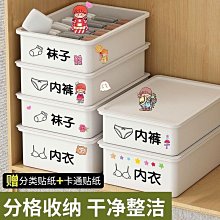 【優選】塑料內衣模特道具女男半身文胸假人櫃檯展示拍照兒童內褲模特屁股 歷史價格詳細信息